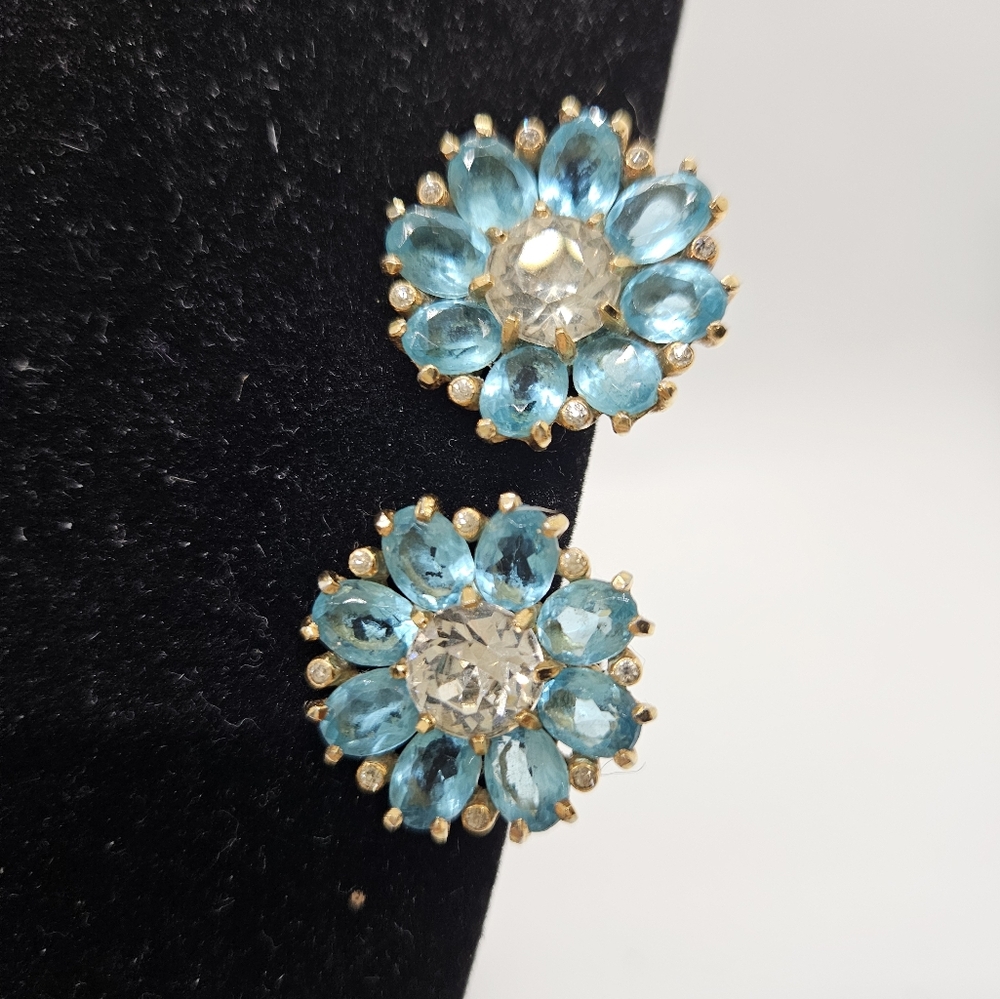 Mazer Blue and Gold Cluster Earrings with Floral Design